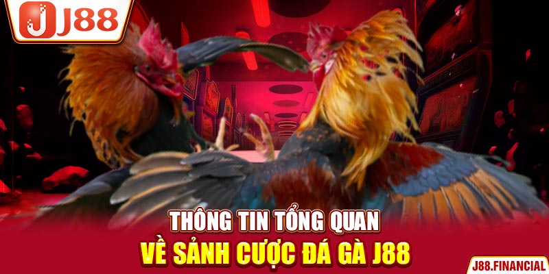 Thông-tin-tổng-quan-về-sảnh-cược-đá-gà-J88