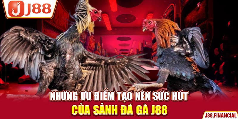 Những-ưu-điểm-tạo-nên-sức-hút-của-sảnh-đá-gà-J88