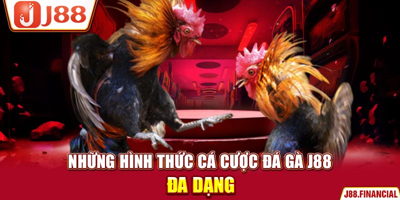 Những-hình-thức-cá-cược-đá-gà-J88-đa-dạng